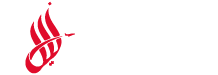 Nile Consultant